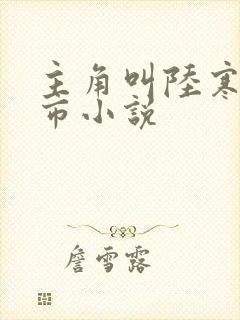 主角叫陆寒的都市小说