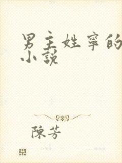 男主姓宁的古代小说