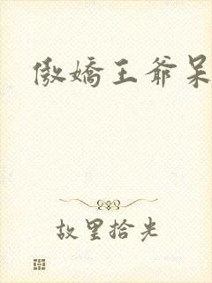 傲娇王爷呆萌妃