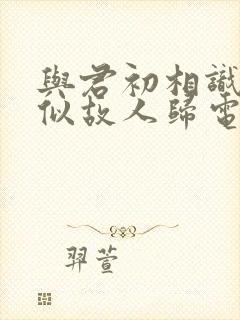 与君初相识·恰似故人归电视剧免费看