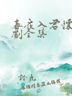 春夜入君怀电视剧全集