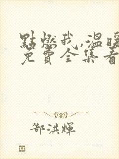 点燃我,温暖你免费全集看