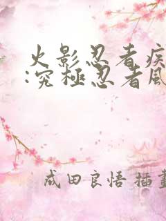 火影忍者疾风传:究极忍者风暴2