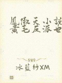 凤傲天小说里的黄毛反派也想要幸福txt