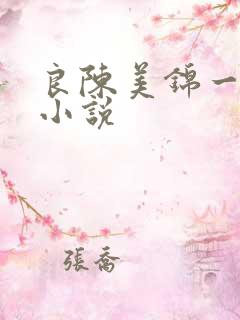 良陈美锦一样的小说