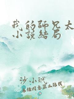 我的师兄太稳健小说结局