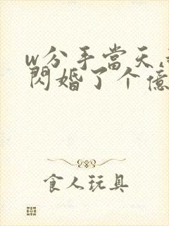 w分手当天,我闪婚了个亿万富翁》