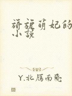 旖旎萌妃的全部小说