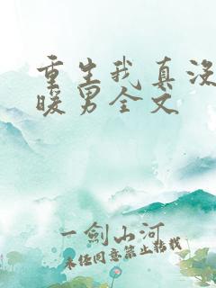 重生我真没想当暖男全文