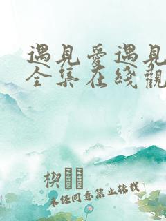 遇见爱遇见幸福全集在线观看