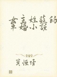 女主姓苏的重生军婚小说