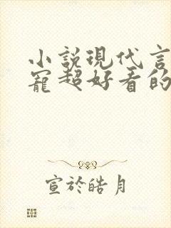 小说现代言情甜宠超好看的有肉