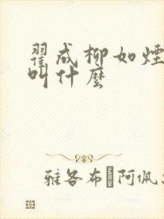 翟成柳如烟小说叫什么