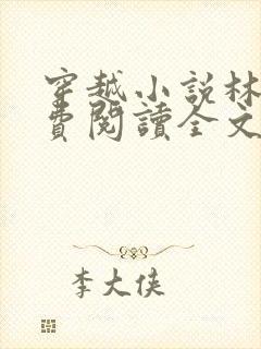 穿越小说林丰免费阅读全文