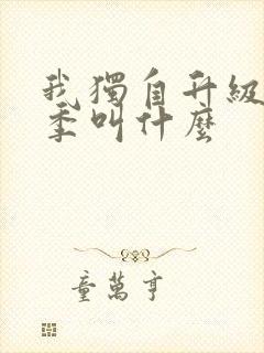 我独自升级第二季叫什么