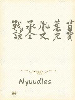 战承胤叶苜苜小说全文免费