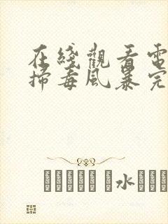 在线观看电视剧扫毒风暴完整版高清