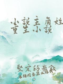 小说主角姓洛的重生小说