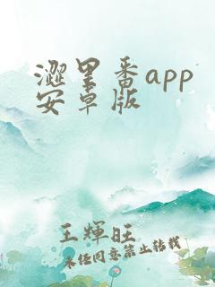 涩里番app 安卓版