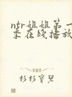 ntr姐姐第一季在线播放全集