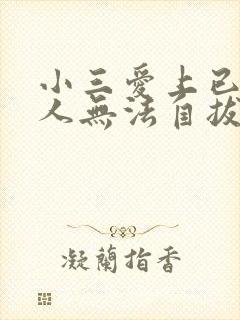 小三爱上已婚男人无法自拔