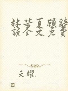 林若夏顾辞舟小说全文免费下载