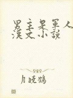 男主是军人的糙汉文小说