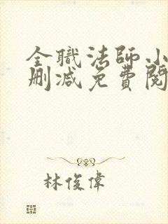 全职法师小说无删减免费阅读