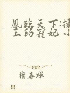 凤临天下:摄政王的宠妃 小说