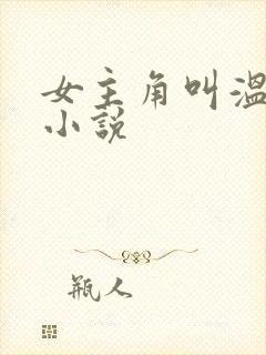 女主角叫温宁的小说