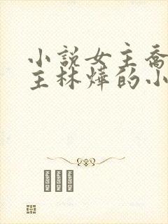 小说女主乔念男主林烨的小说