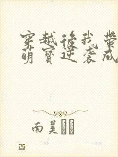 穿越后我带两个萌宝逆袭成首富小说