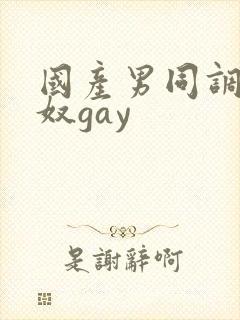 国产男同调教男奴gay