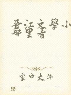 晋江文学小说在哪里看