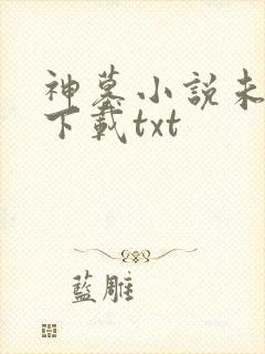 神墓小说未删版下载txt