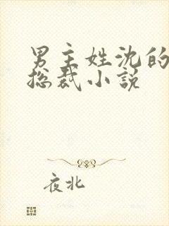 男主姓沈的霸道总裁小说