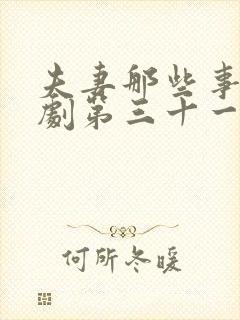 夫妻那些事电视剧第三十一集