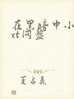 在黑暗中小说txt网盘