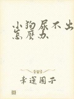 小狗尿不出尿来怎么办