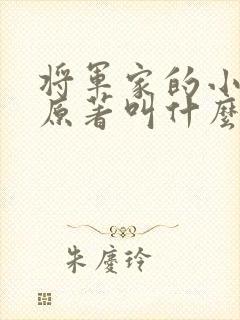 将军家的小娘子原著叫什么