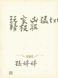 玩家凶猛txt精校版