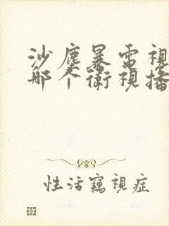 沙尘暴电视剧在哪个卫视播出