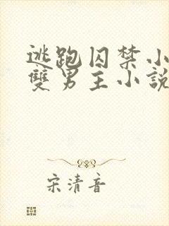 逃跑囚禁小少爷双男主小说推荐