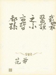 都市之医武风流孙哲小说最新章节