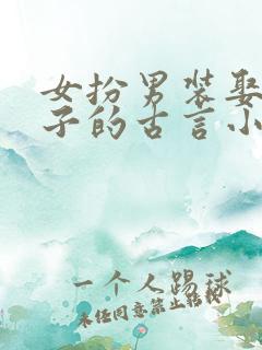 女扮男装娶妻生子的古言小说gl