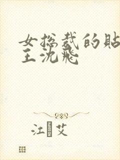 女总裁的贴身兵王沈飞