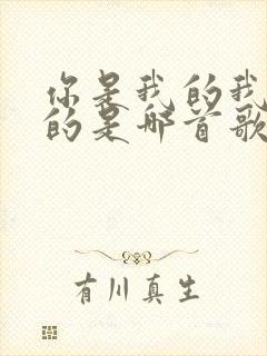 你是我的我是你的是哪首歌的歌词