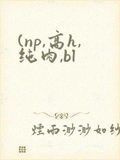 (np,高h,纯肉,bl