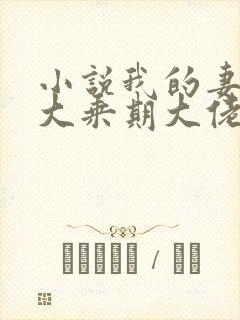 小说我的妻子是大乘期大佬全集