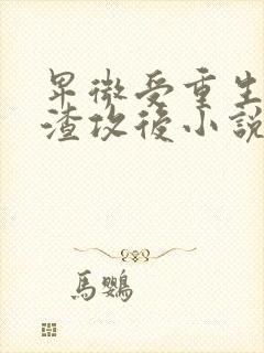 卑微受重生成为渣攻后小说